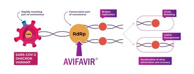 Figure Mechanism of Antiviral Action of Avifavir® INN favipiravir (PRNewsfoto/The Russian Direct Invest Fund (RDIF))